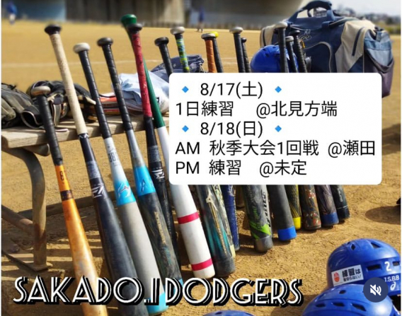 今週の活動予定！！