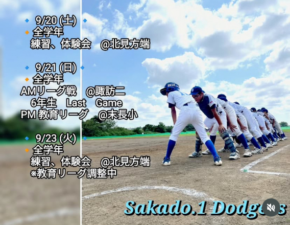 今週の活動予定！！