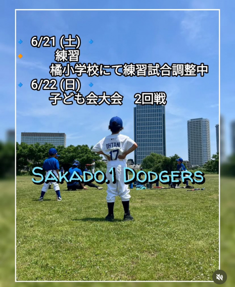 今週の活動