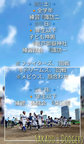 今週の活動予定！！