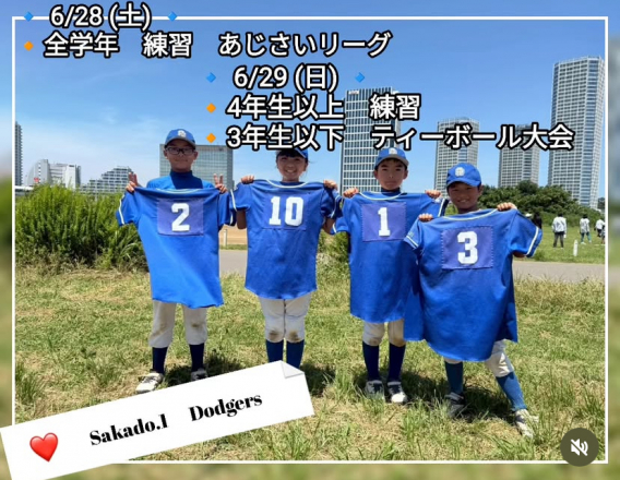 今週の活動予定！！
