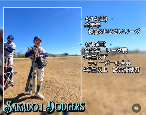 今週の活動予定！！