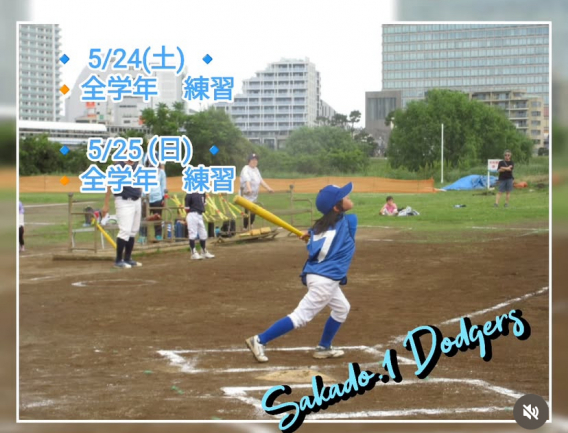 今週の活動予定！！