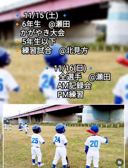 今週（11/15,16）の活動予定！！